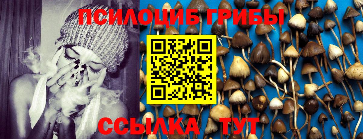 Псилоцибиновые грибы ЛСД  Вход с VPN  Кашира 